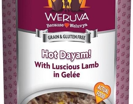 Weruva Hot Dayam! with Luscious Lamb in Gelée Canned Dog Food (14-oz, single can) Online now