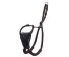 Company of Animals Halti No Pull Harness Online Hot Sale