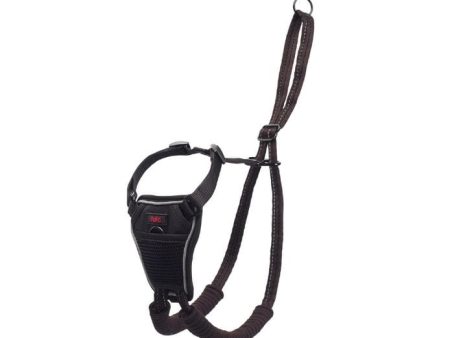 Company of Animals Halti No Pull Harness Online Hot Sale