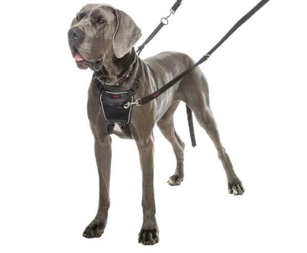 Company of Animals Halti No Pull Harness Online Hot Sale