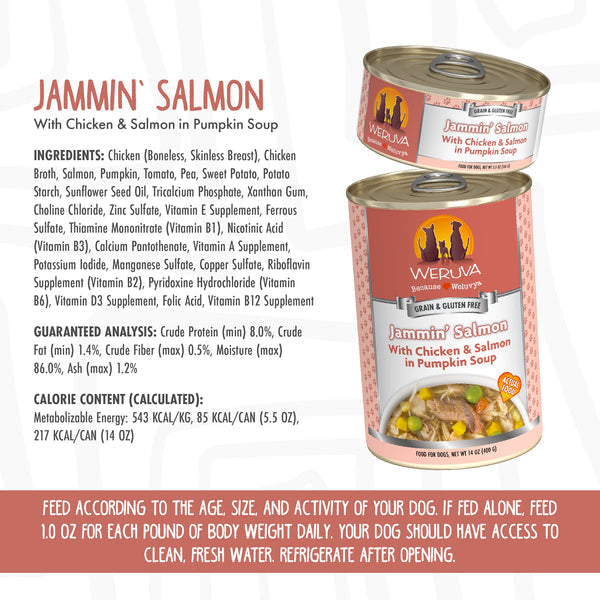 Weruva Jammin’ Salmon with Chicken & Salmon in Pumpkin Soup Dog Food Cheap