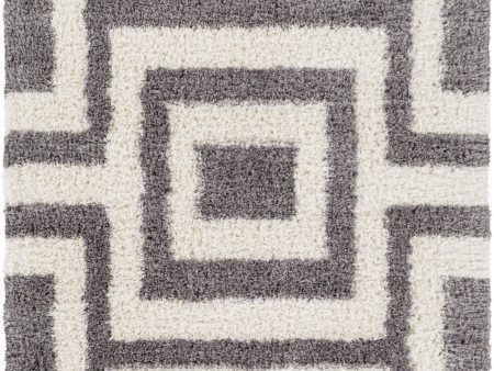 Surya Winfield WNF-1004 Area Rug Fashion