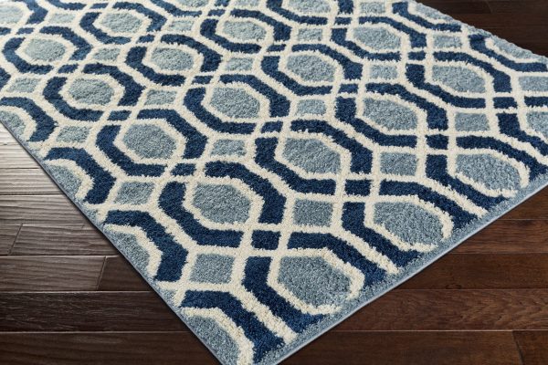 Surya Swift SWT-4004 Area Rug by Candice Olson Online Sale