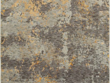 Oriental Weavers Evolution 8025B Grey  Gold Area Rug Sale