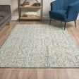 Dalyn Calisa CS5 Lakeview Area Rug Supply