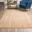 Dalyn Calisa CS5 Desert Area Rug Supply