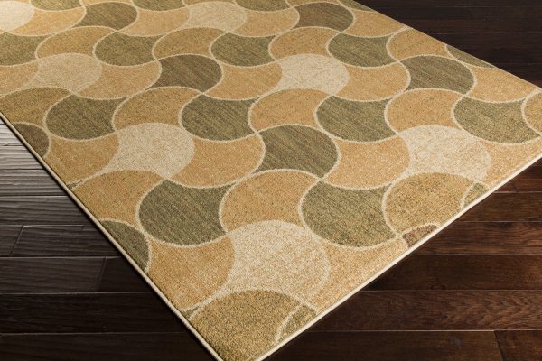 Surya Ventura VNT-7029 Area Rug Cheap