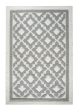 Dynamic Rugs Studio 97702 Ivory Silver Area Rug Fashion