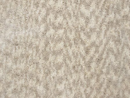 Dynamic Rugs Luxury Shag 2550 Ivory Area Rug Online Hot Sale