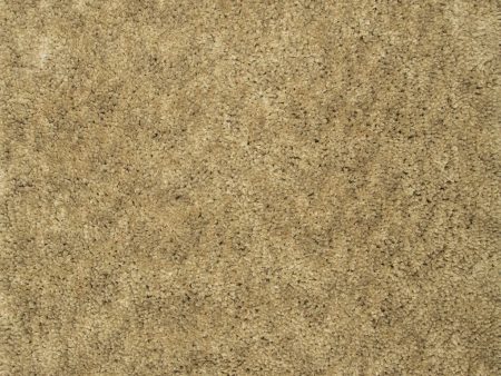 Dynamic Rugs Luxury Shag 2550 Gold Area Rug Cheap