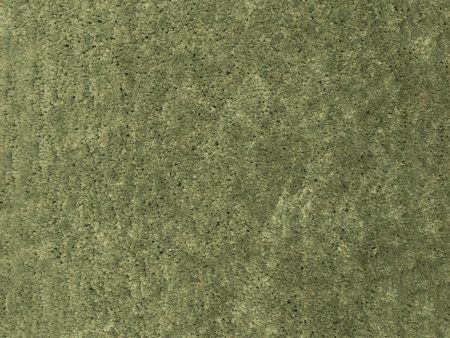 Dynamic Rugs Luxury Shag 2550 Light Green Area Rug Sale