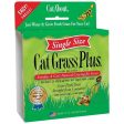 CAT A BOUT CAT GRASS PLUS TUB Online Sale