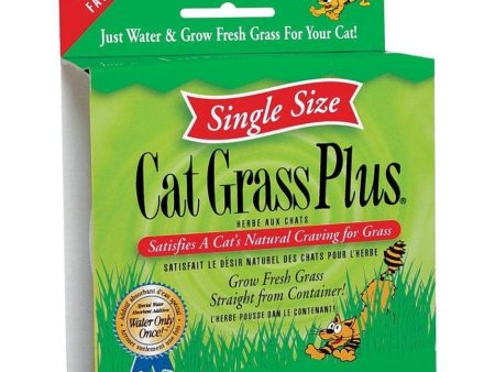 CAT A BOUT CAT GRASS PLUS TUB Online Sale