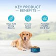 Blue Buffalo Life Protection Natural Fish & Brown Rice Recipe Adult Dry Dog Food on Sale