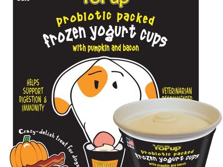 Yoghund Pumpkin & Bacon Frozen Yogurt Cups For Cheap