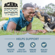 ACANA Wholesome Grains Sea to Stream Fish & Grains Recipe Dry Dog Food Sale