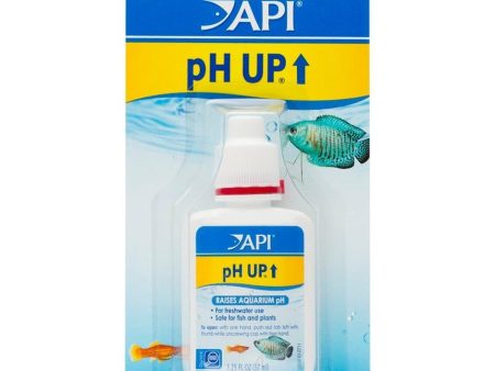 API PH UP Online Sale